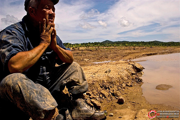 Crop Loss, Yabucoa, Puerto Rico, 2008