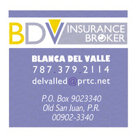 BDV logo C email